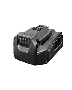 EGO CH2100E Standard-Ladegerät
