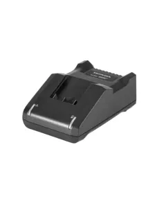 Honda CV3620 XA Standard Ladegerät 36V