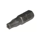 Stihl Bit T25 IPR (Sonderwerkzeug für Gartenhäcksler)