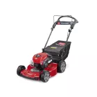 Toro Recycler Rasenmäher