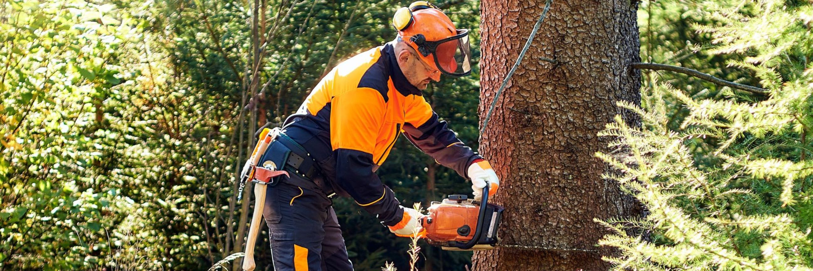 Forstarbeiter mit Schutzausrüstung