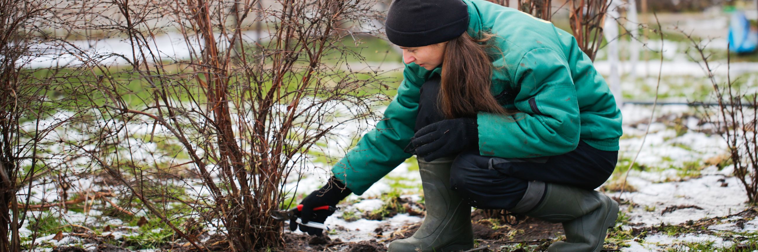 Frau, die Gartenarbeit im Winter verrichtet