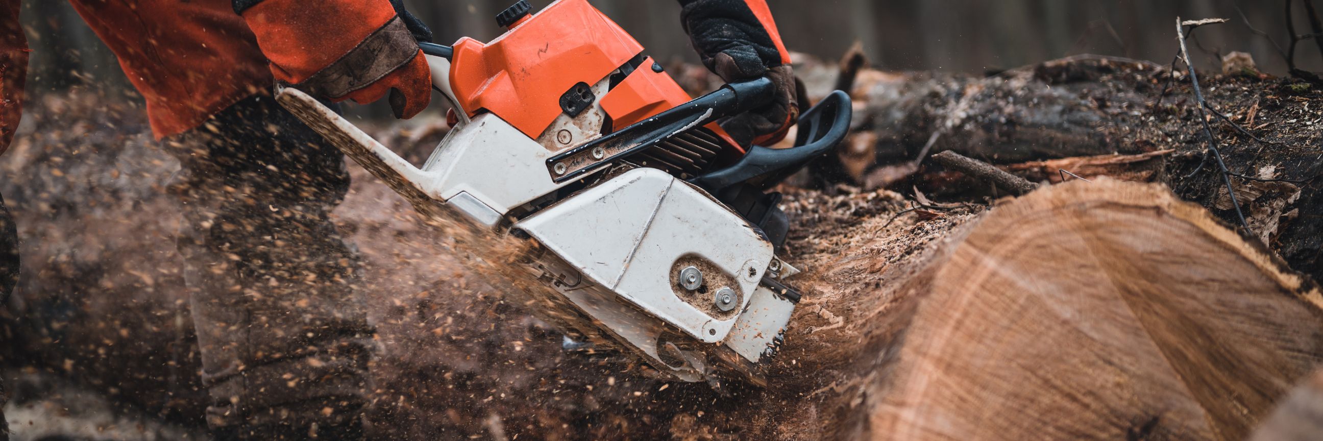 Mensch mit Kettensäge bearbeitet einen  gefällten Baum