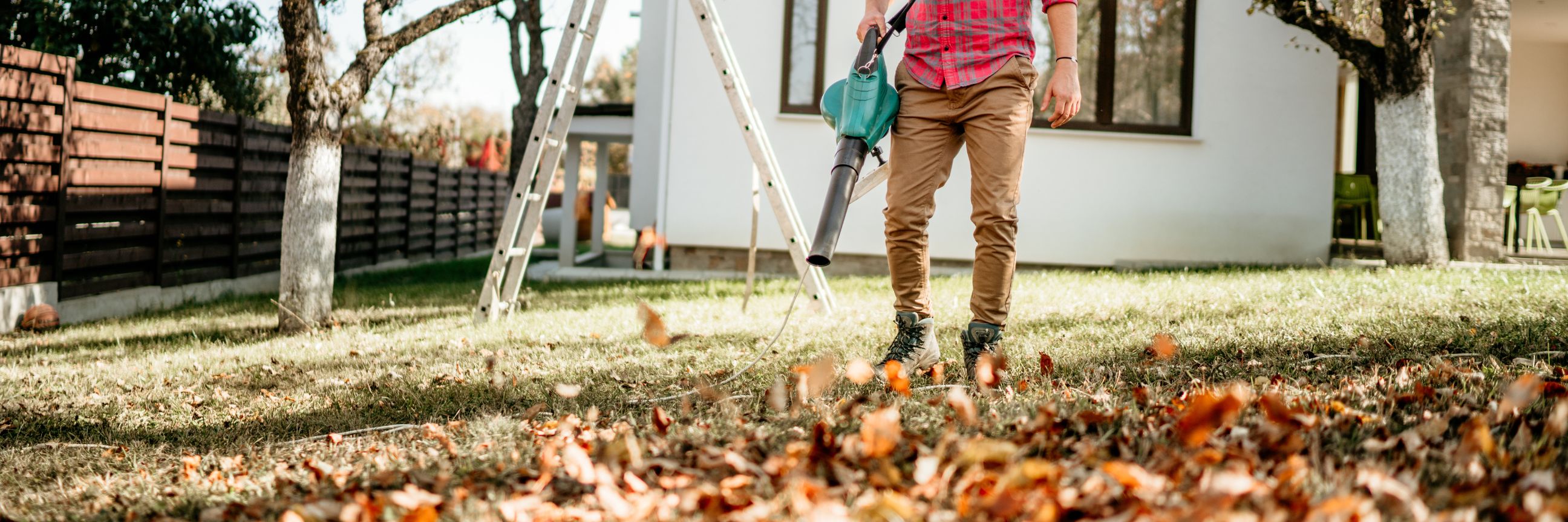 Mann mit Elektro-Laubbläser bläst Laub über Rasenfläche im Herbstgarten