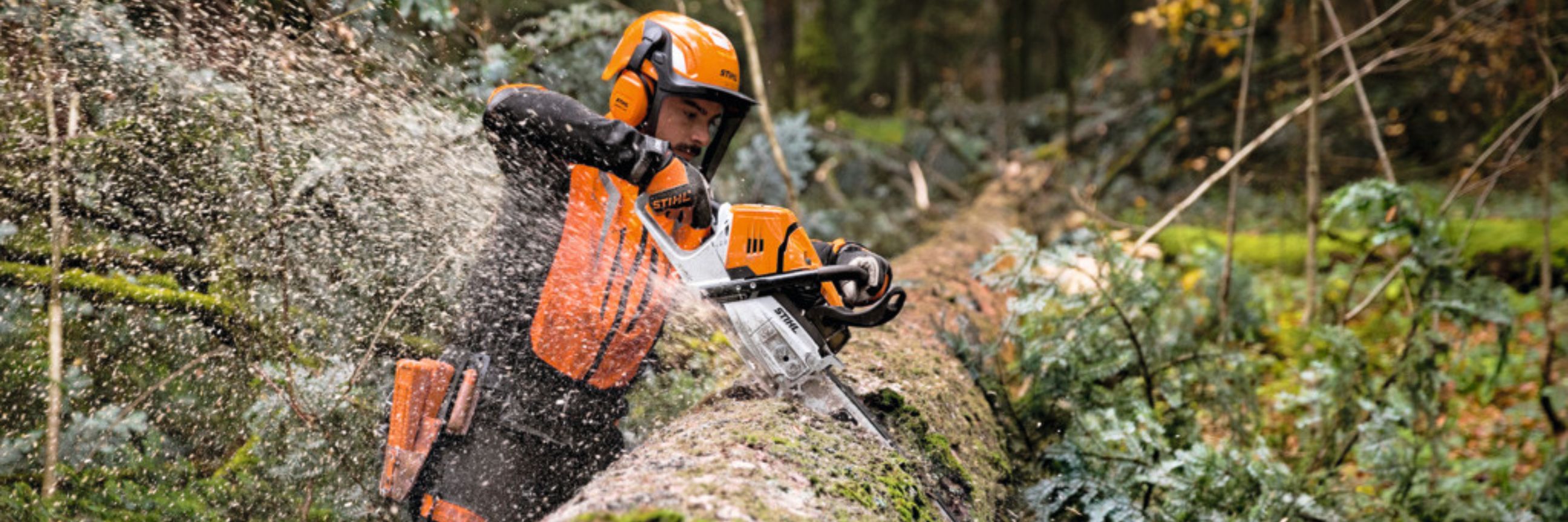 Mann zersägt mit einer Profi-Kettensäge von Stihl einen liegenden Baumstamm.