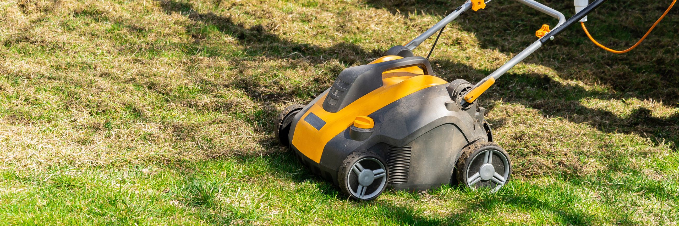 Rasenvertikutierer im Herbst beim Vertikutieren im Garten. Um ihn herum liegt Rasenabschnitt.